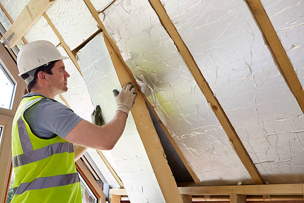 Best Attic Insulation Installation  in Lomira, WI